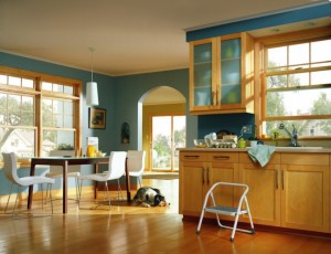 Anderson Windows 200 Series